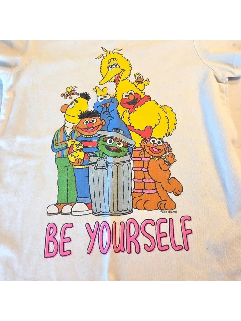 Old Navy Sesame Street Be Yourself T-Shirt Girls 5T Elmo Cookie Monster Tee